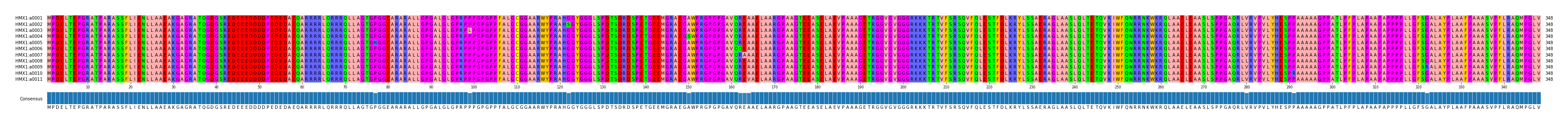 Multiple Alignments (by translate haplotype frequency)