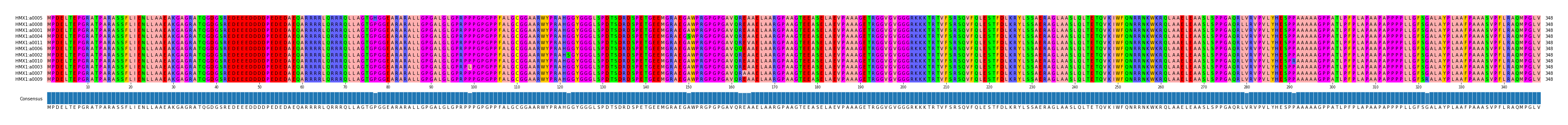 Multiple Alignments (by translate haplotype similarity)
