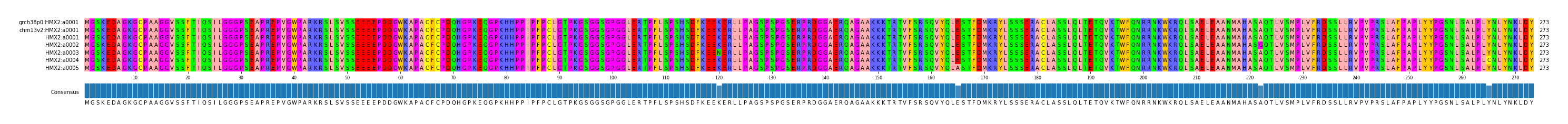 Multiple Alignments (by translate haplotype frequency)
