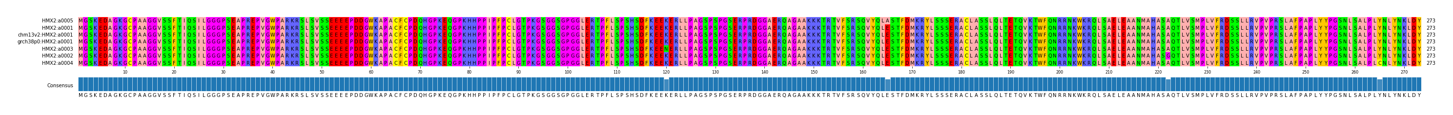 Multiple Alignments (by translate haplotype similarity)
