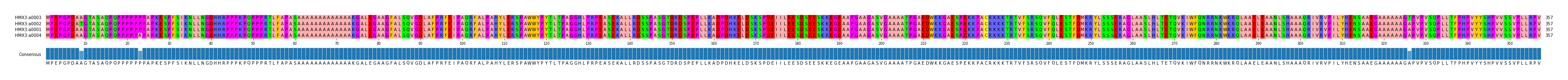 Multiple Alignments (by translate haplotype similarity)