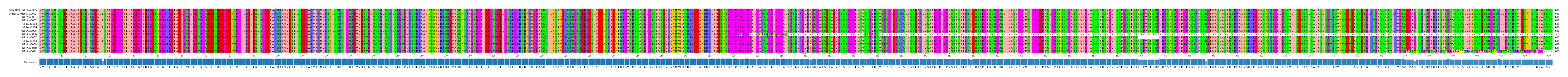 Multiple Alignments (by translate haplotype frequency)