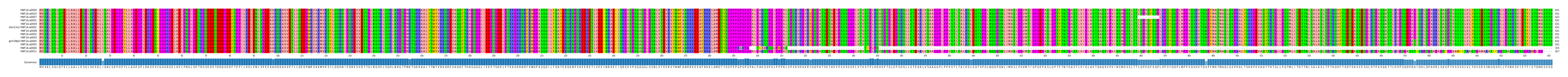 Multiple Alignments (by translate haplotype similarity)