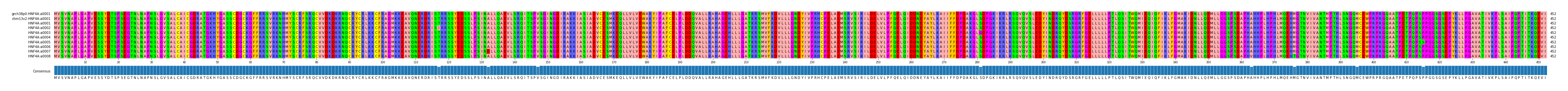 Multiple Alignments (by translate haplotype frequency)