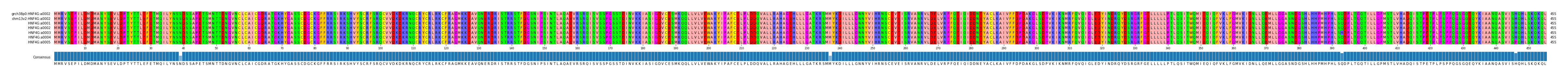 Multiple Alignments (by translate haplotype frequency)