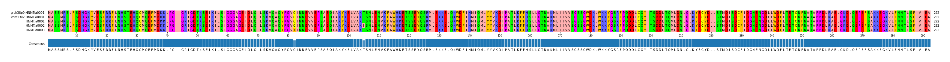 Multiple Alignments (by translate haplotype frequency)