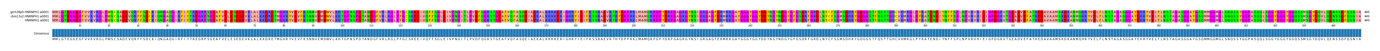 Multiple Alignments (by translate haplotype similarity)
