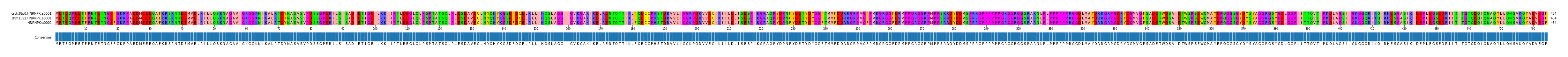Multiple Alignments (by translate haplotype similarity)