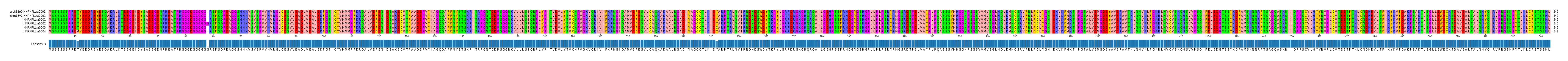 Multiple Alignments (by translate haplotype frequency)