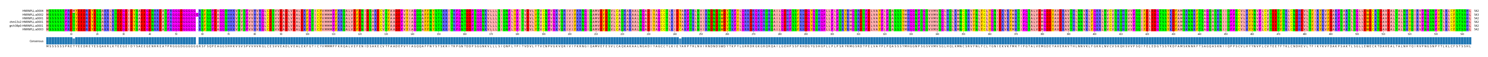 Multiple Alignments (by translate haplotype similarity)
