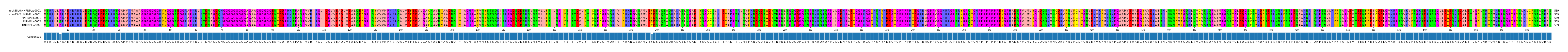 Multiple Alignments (by translate haplotype frequency)