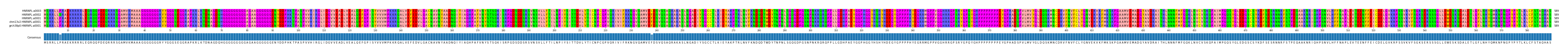 Multiple Alignments (by translate haplotype similarity)