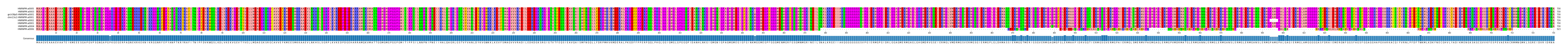 Multiple Alignments (by translate haplotype similarity)