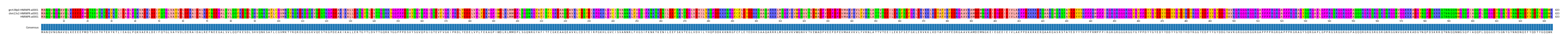 Multiple Alignments (by translate haplotype similarity)