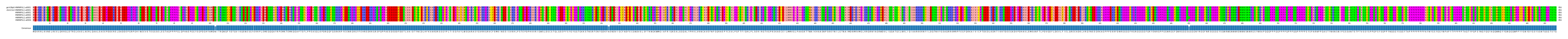 Multiple Alignments (by translate haplotype frequency)