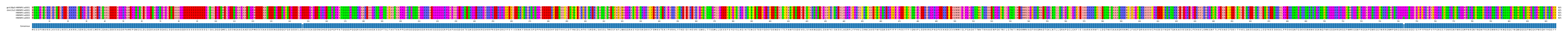 Multiple Alignments (by translate haplotype frequency)
