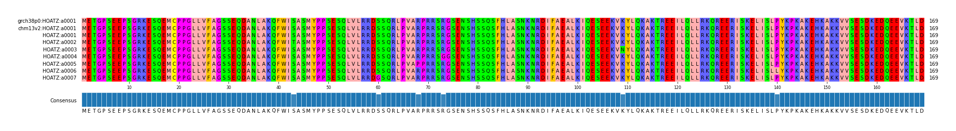 Multiple Alignments (by translate haplotype frequency)