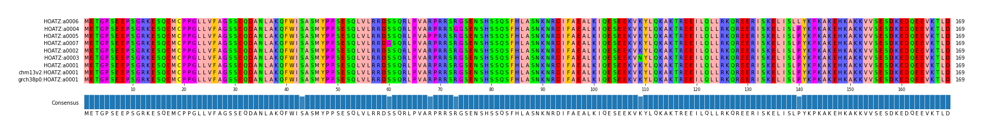 Multiple Alignments (by translate haplotype similarity)