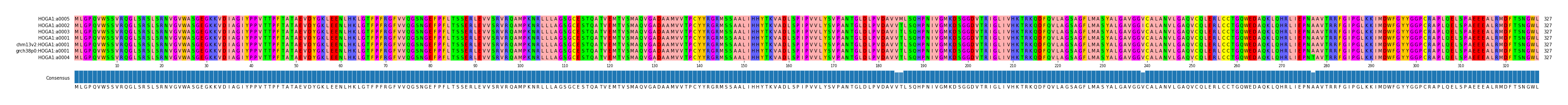Multiple Alignments (by translate haplotype similarity)