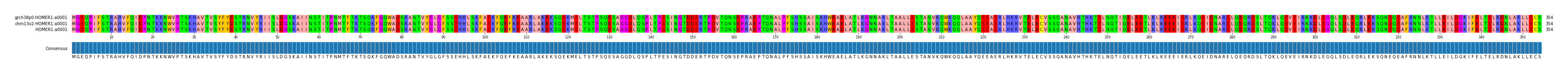 Multiple Alignments (by translate haplotype frequency)