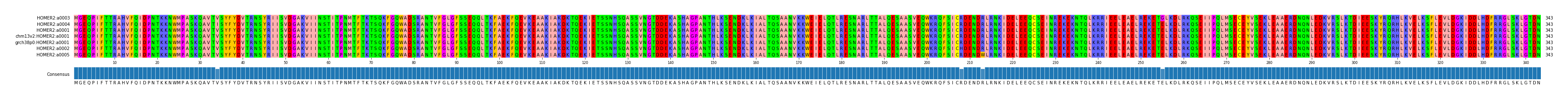 Multiple Alignments (by translate haplotype similarity)