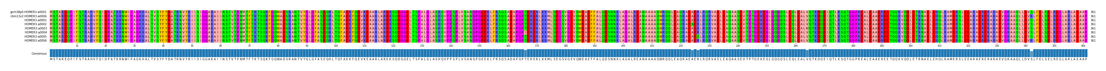 Multiple Alignments (by translate haplotype frequency)