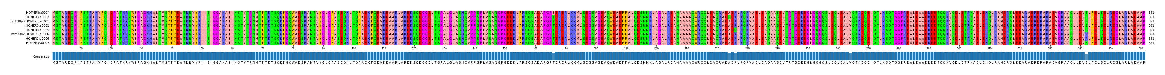 Multiple Alignments (by translate haplotype similarity)
