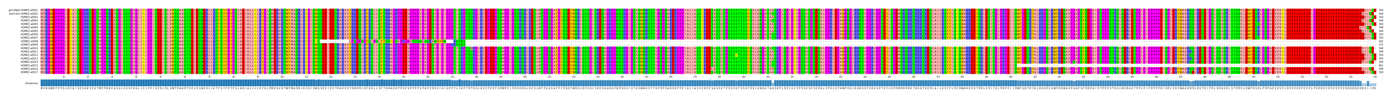 Multiple Alignments (by translate haplotype frequency)