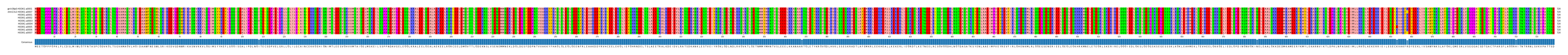 Multiple Alignments (by translate haplotype frequency)