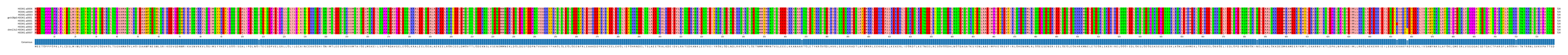 Multiple Alignments (by translate haplotype similarity)
