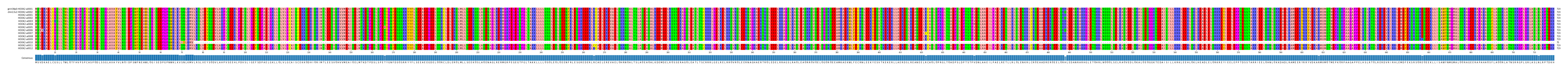 Multiple Alignments (by translate haplotype frequency)