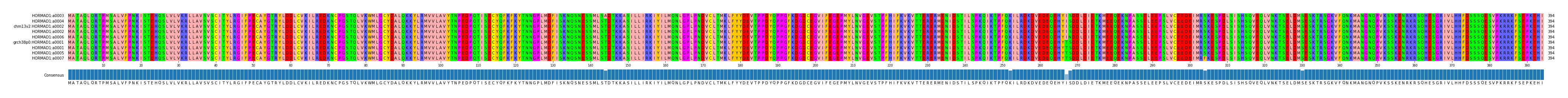 Multiple Alignments (by translate haplotype similarity)