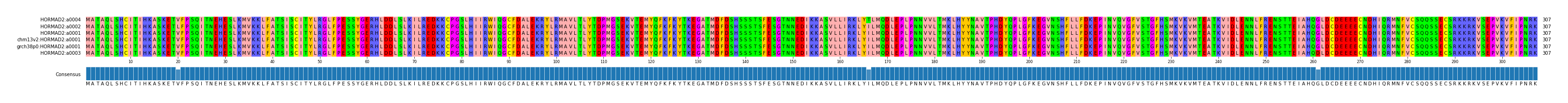 Multiple Alignments (by translate haplotype similarity)