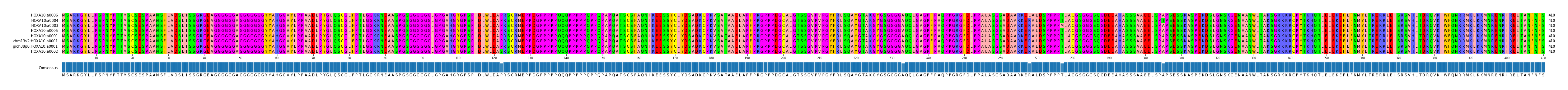 Multiple Alignments (by translate haplotype similarity)