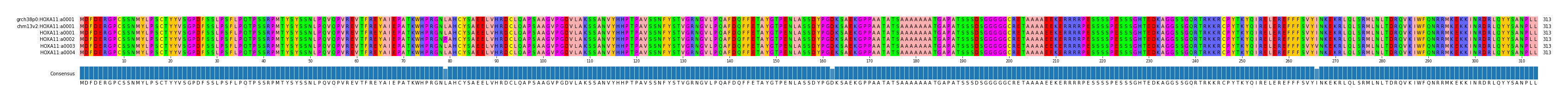 Multiple Alignments (by translate haplotype frequency)