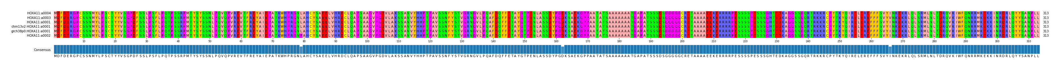 Multiple Alignments (by translate haplotype similarity)