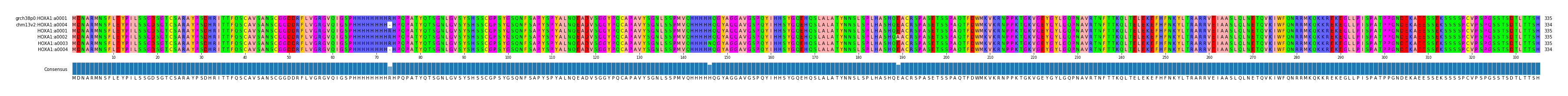 Multiple Alignments (by translate haplotype frequency)