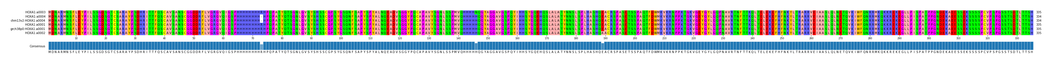 Multiple Alignments (by translate haplotype similarity)
