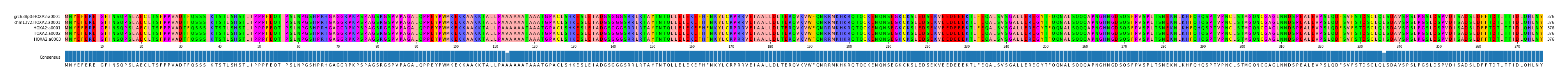 Multiple Alignments (by translate haplotype frequency)