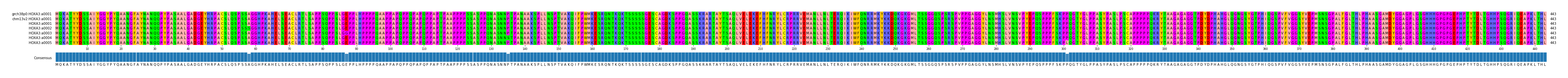 Multiple Alignments (by translate haplotype frequency)