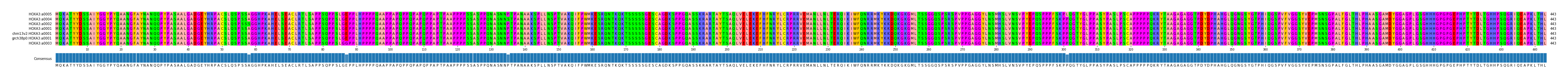 Multiple Alignments (by translate haplotype similarity)