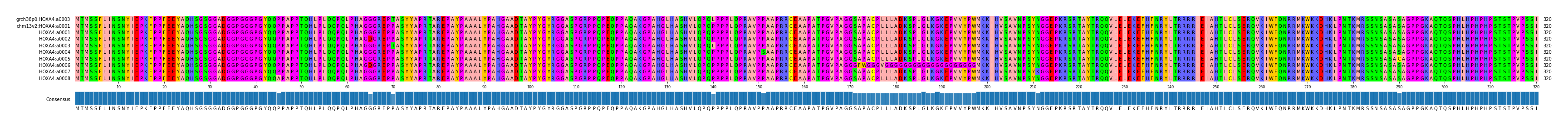 Multiple Alignments (by translate haplotype frequency)
