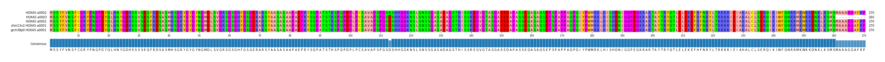 Multiple Alignments (by translate haplotype similarity)