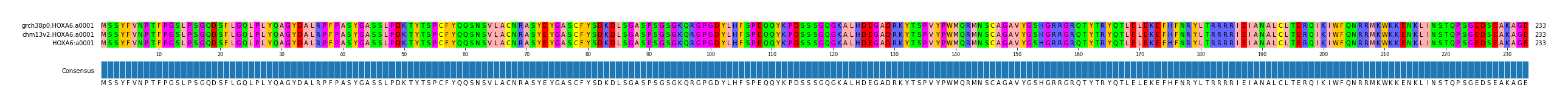 Multiple Alignments (by translate haplotype similarity)