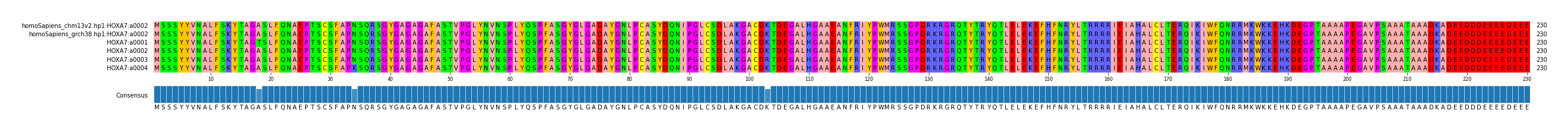 Multiple Alignments (by translate haplotype frequency)