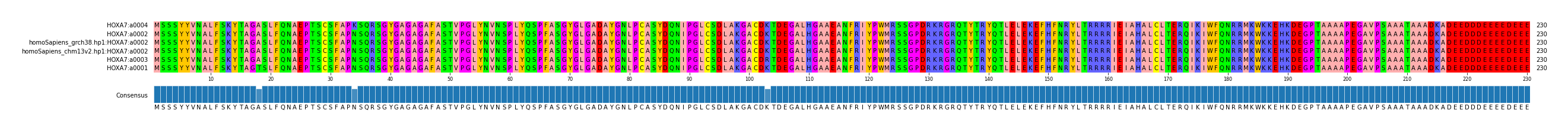 Multiple Alignments (by translate haplotype similarity)