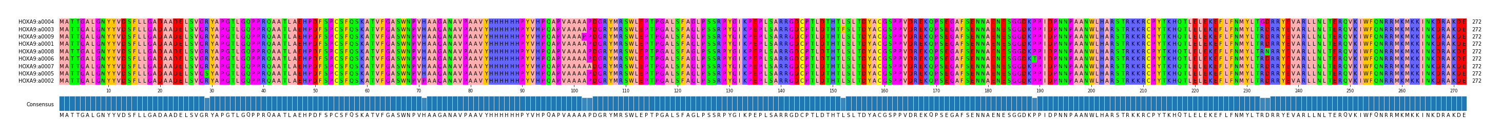 Multiple Alignments (by translate haplotype similarity)