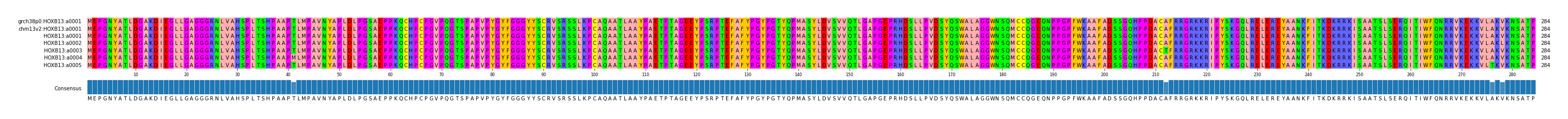 Multiple Alignments (by translate haplotype frequency)