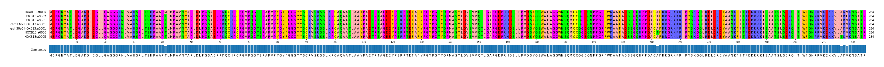 Multiple Alignments (by translate haplotype similarity)