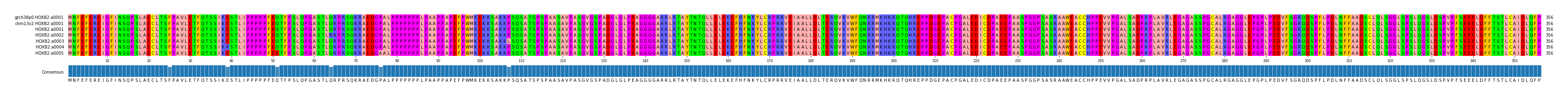 Multiple Alignments (by translate haplotype frequency)